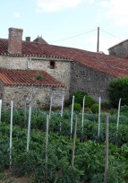 Du devenir de la délégation Vendée